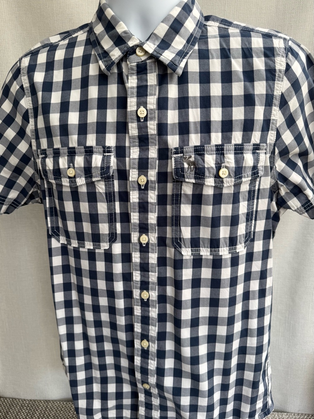 Abercrombie & Fitch Navy and White Gingham Short-Sleeve Button-Down Shirt